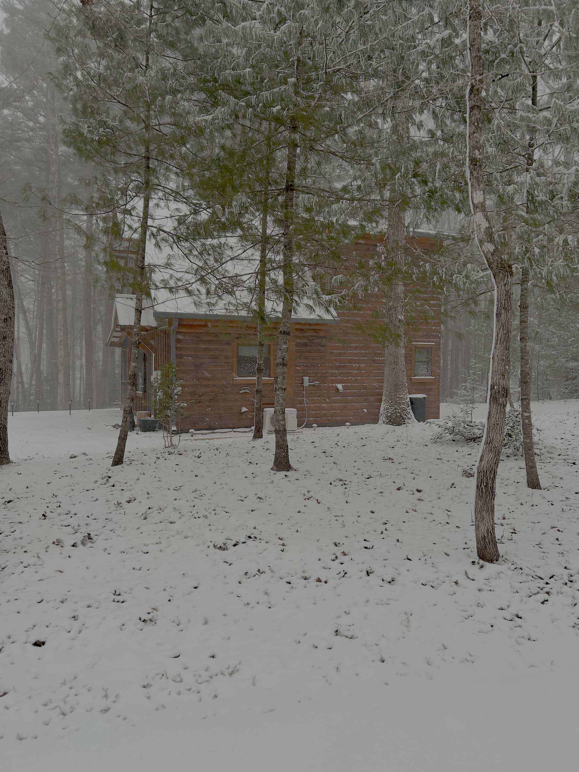 Snow-covered trees at The Cozy Nook